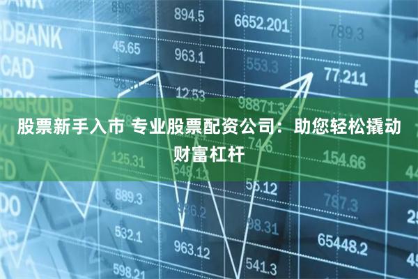 股票新手入市 专业股票配资公司：助您轻松撬动财富杠杆