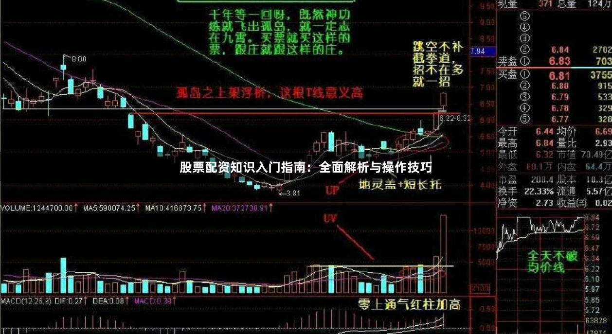 股票配资知识入门指南：全面解析与操作技巧