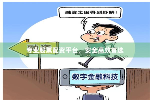 专业股票配资平台,安全高效首选